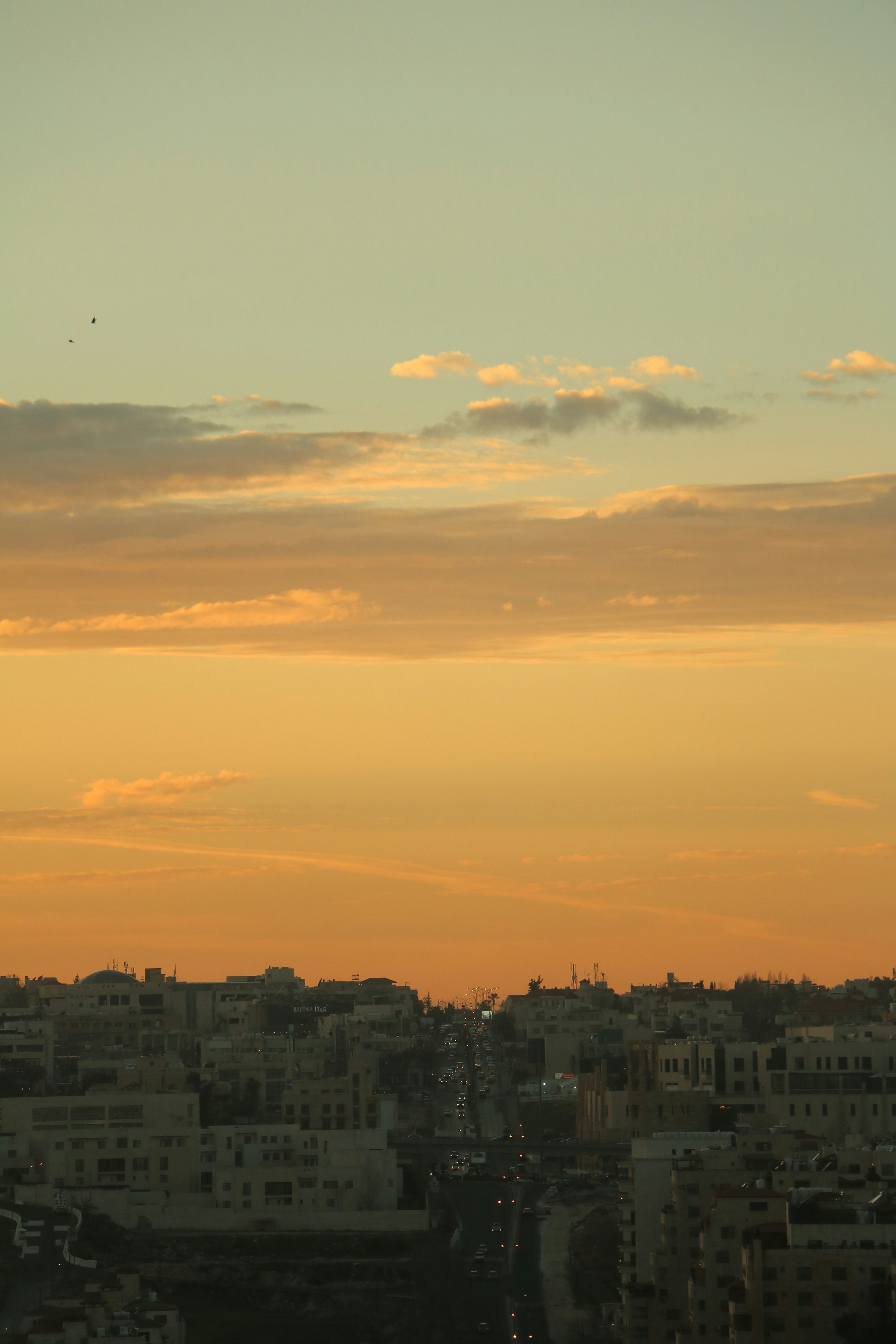 Photo by plasticlines