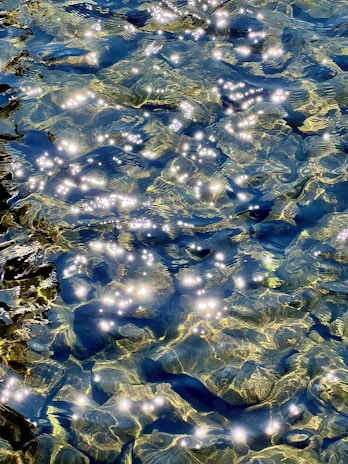 Close-up of sparkling water with sunlight dancing on the pool’s surface.