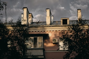 A building with a flat roof features multiple chimneys and an exterior air conditioning unit. The facade is pink with windows, and tree branches partially obscure parts of the structure. The sky is overcast, casting a moody, dim light.