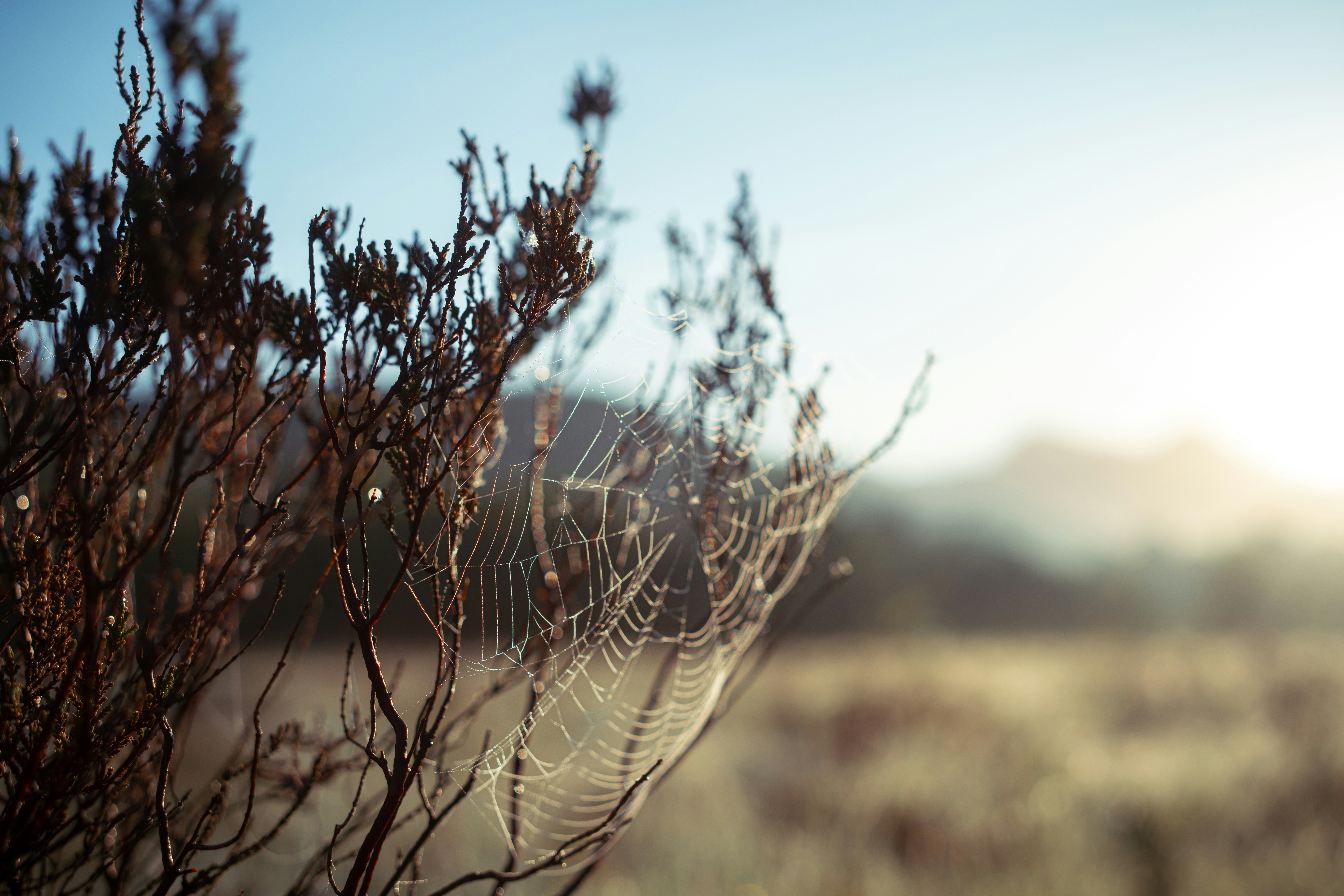 Photo by alexisnthere_