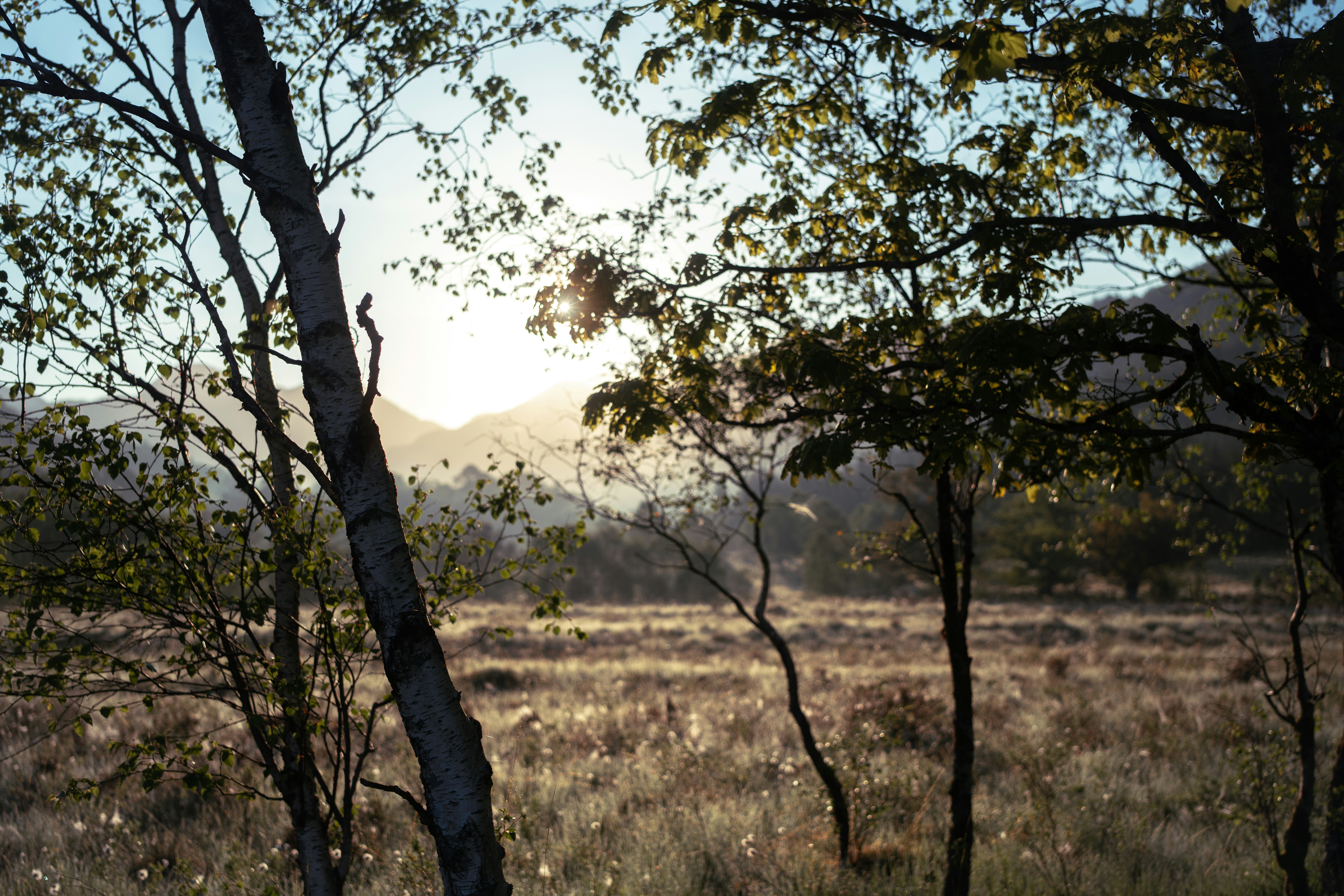 Photo by alexisnthere_