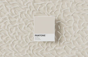 a pantone color with a white background
