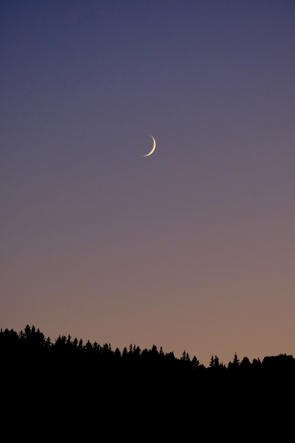 a crescent is seen in the sky over a forest