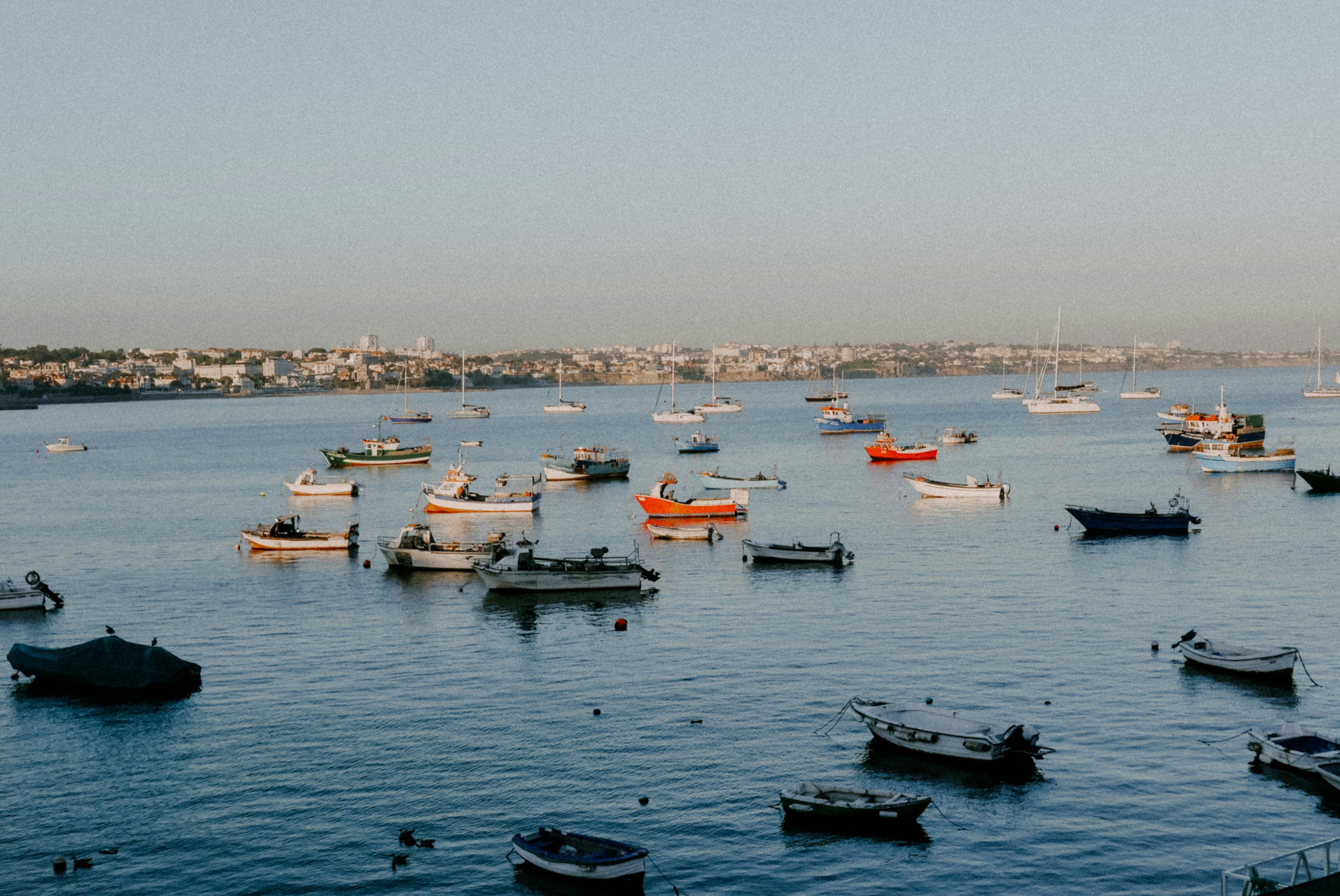 Photo by vitalymazur