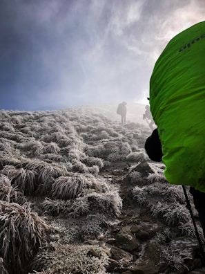 A group of hikers is ascending a frosted mountain path under a dark, overcast sky. The ground is covered with icy grass and rocks, creating a rugged terrain. The hikers are dressed in outdoor gear, with one wearing a bright green backpack, and they carry trekking poles.