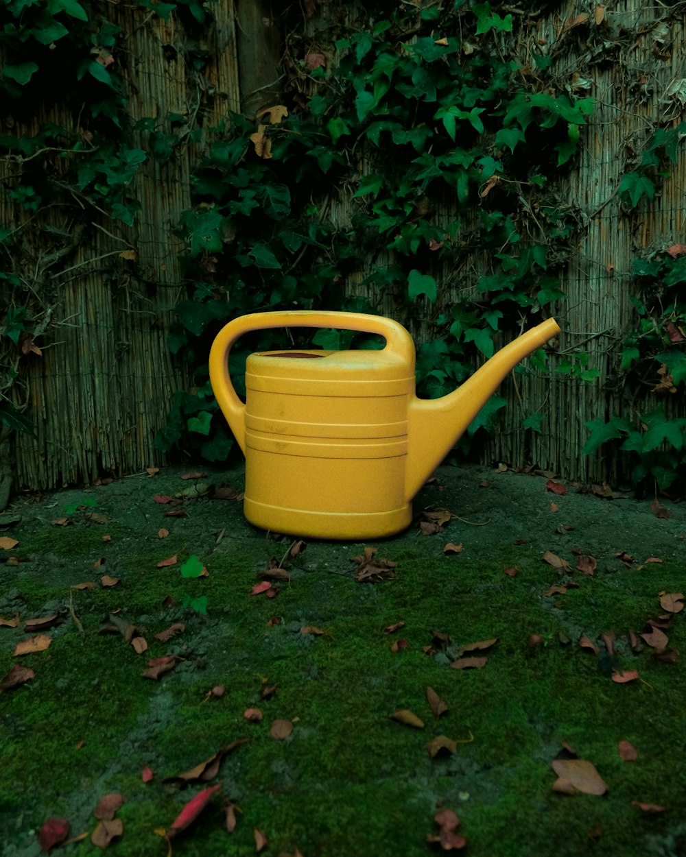 a yellow watering can sitting in the grass