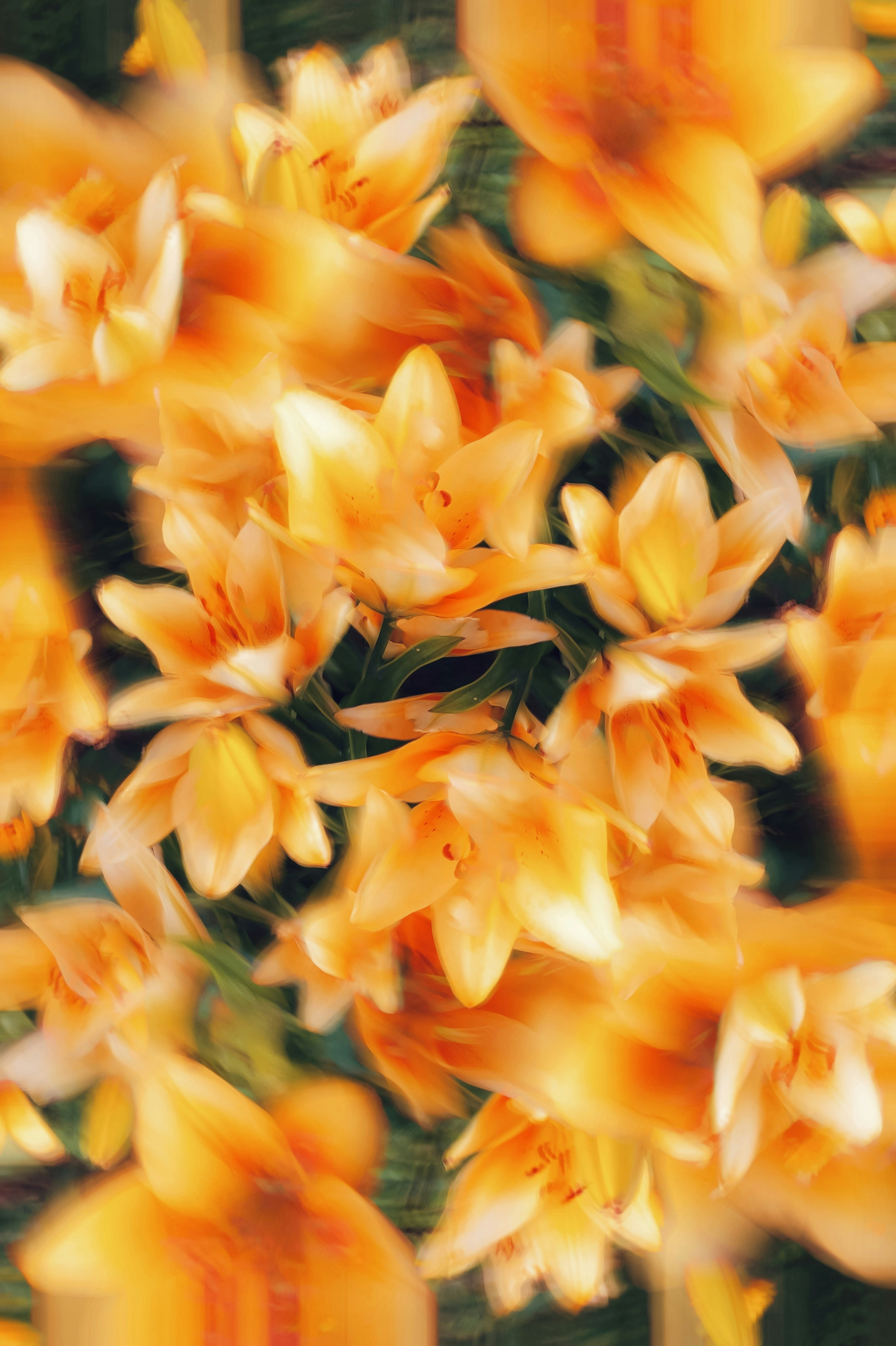 Photo by eugene_golovesov