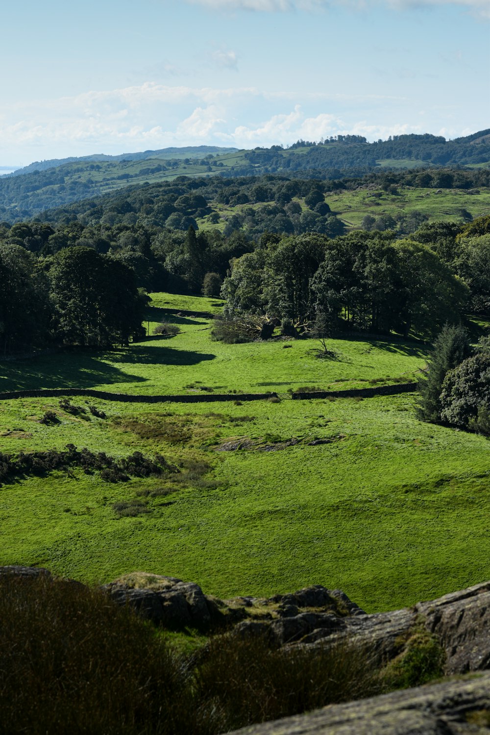 un rigoglioso campo verde circondato da alberi e rocce