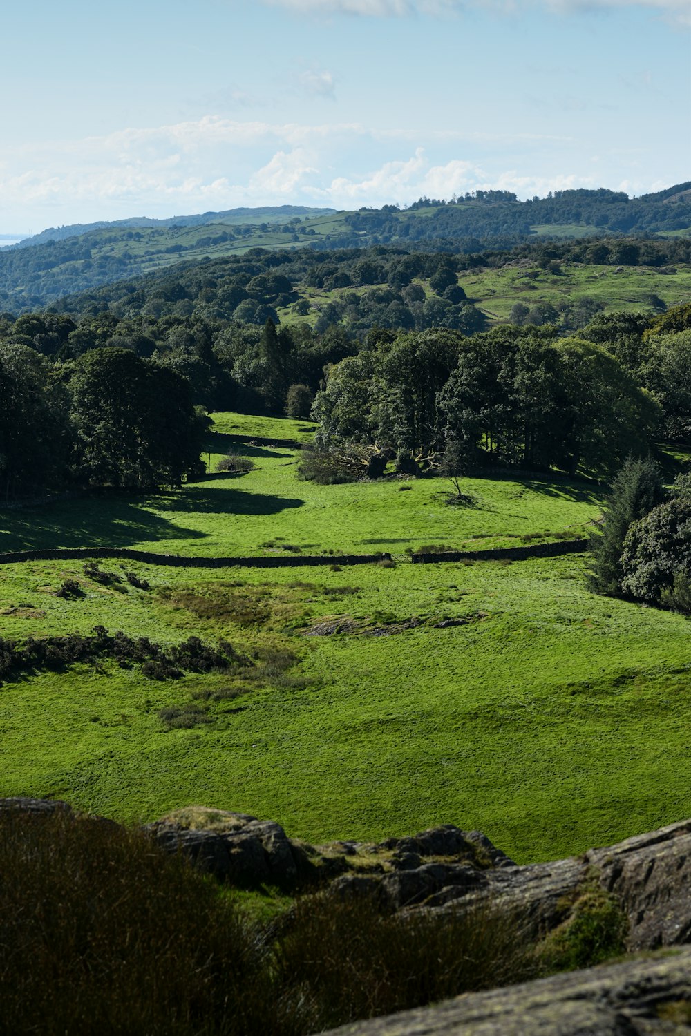 a lush green field surrounded by trees and rocks