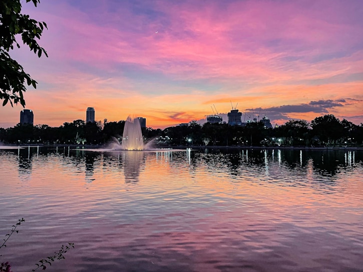 Sunset view over Lake Michigan with the Chicago skyline in the distance, framed by leafy trees of South Shore Park.