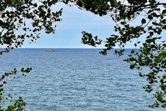 A serene view of Ozello Island with lush greenery and calm waters.