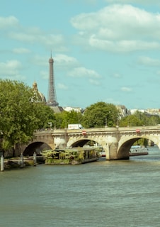 A peaceful view of the Faidherbe Bridge stretching across the river.