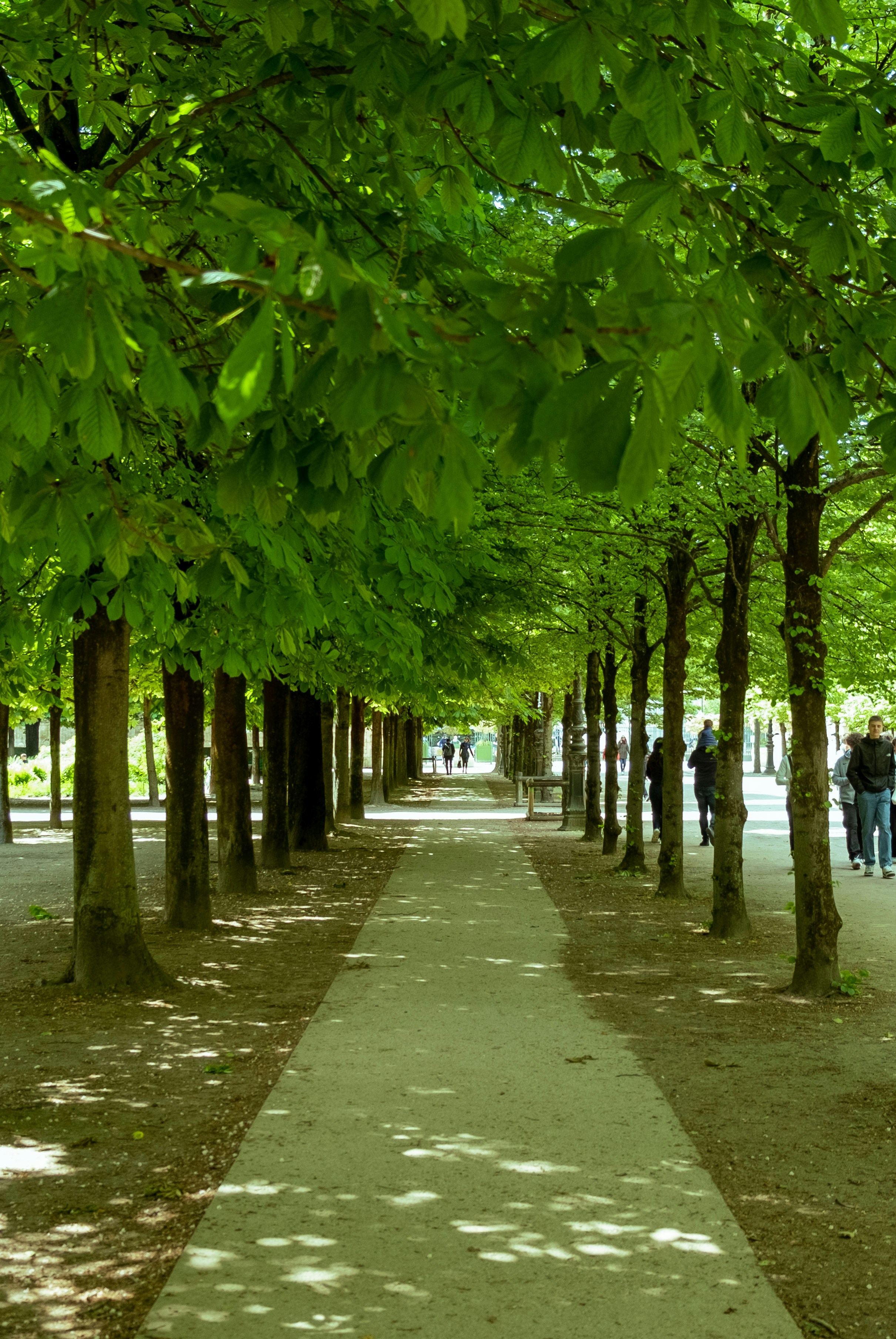 Photo by rafaelmaggion