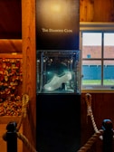A sparkling shoe covered in what appears to be diamonds is displayed inside a glass case titled 'The Diamond Clog'. The case is set against a wooden wall, with a window to the side showing the outside. Another wall exhibits traditional clogs.