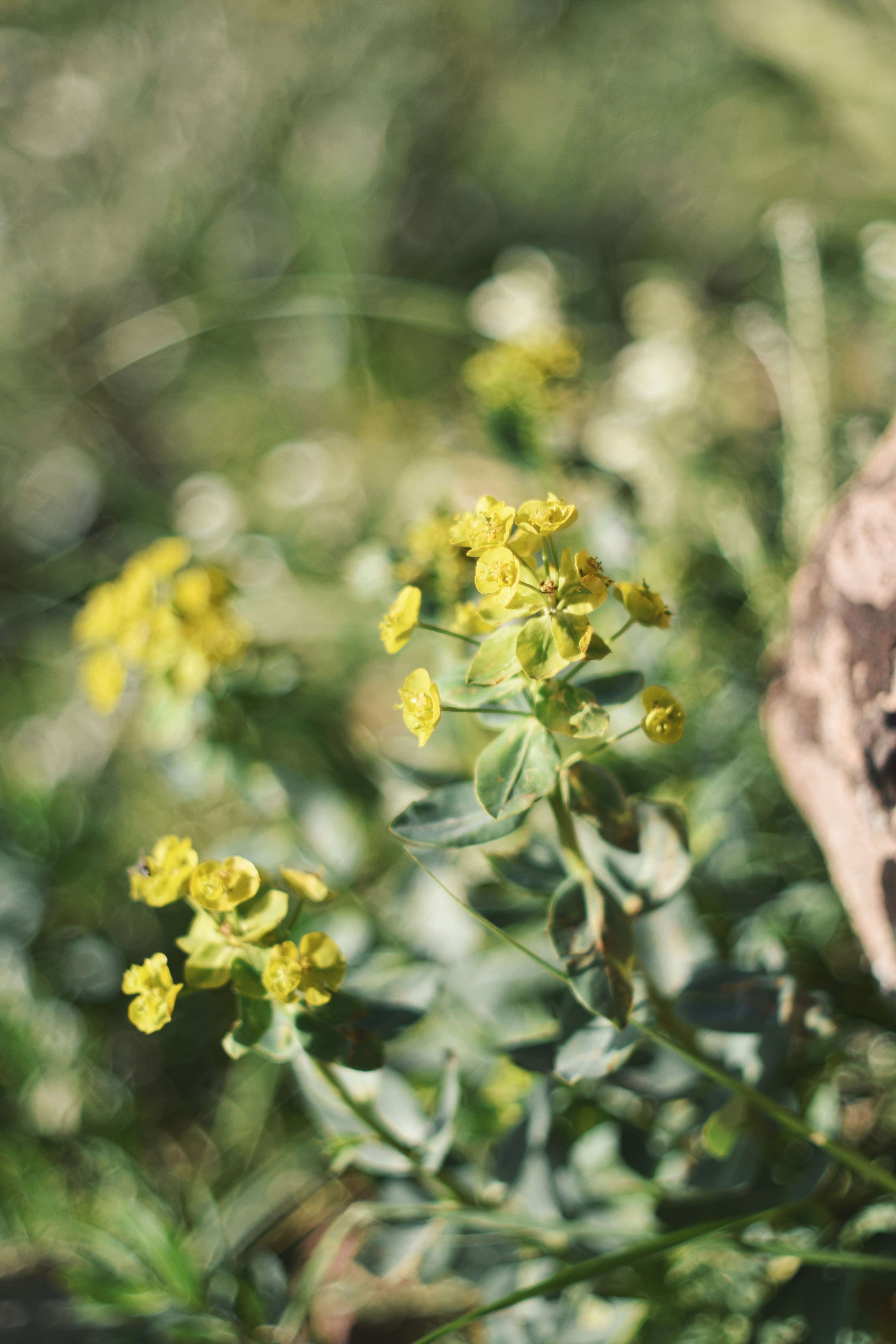 Photo by aliisarvari