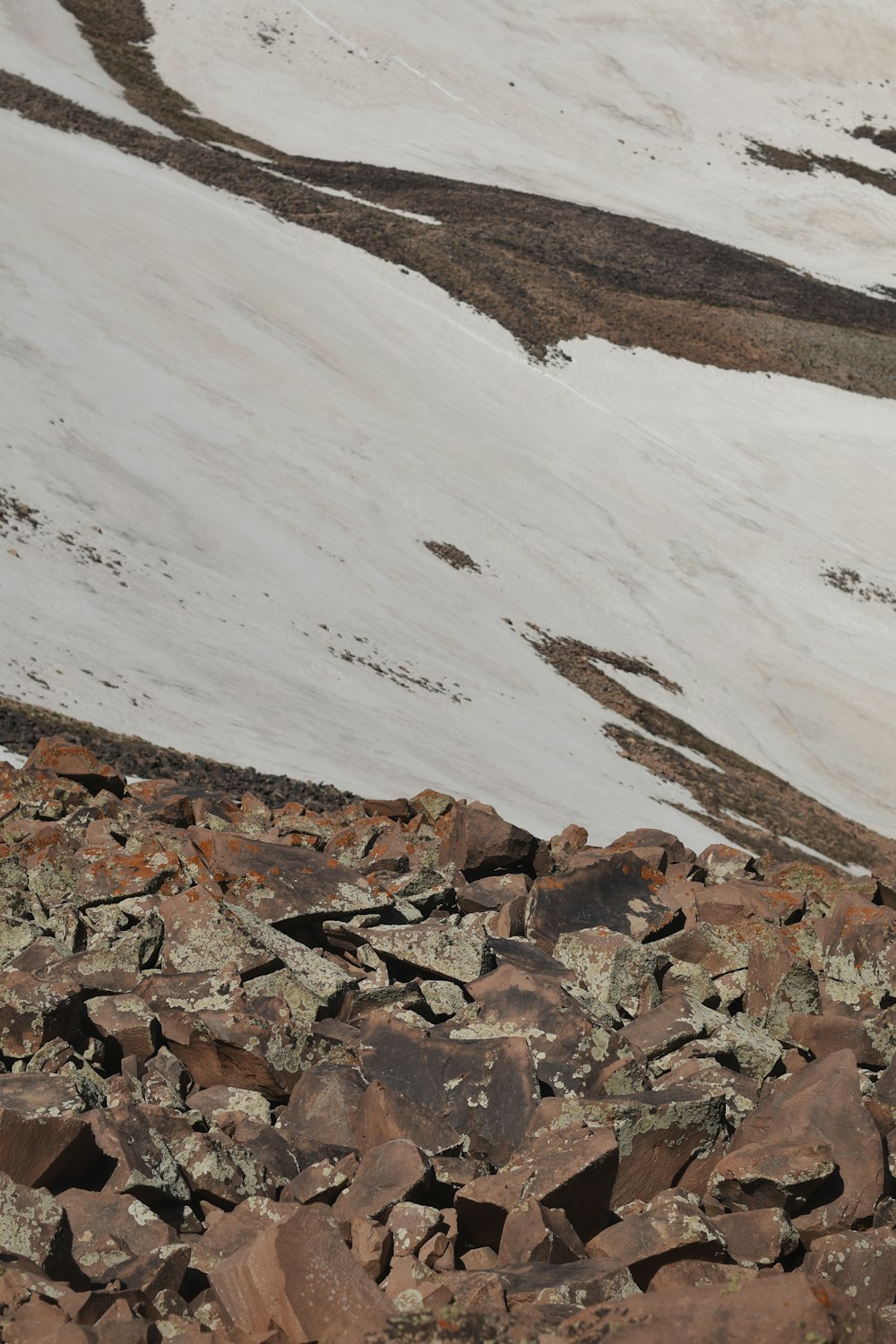 a bird standing on top of a pile of rocks