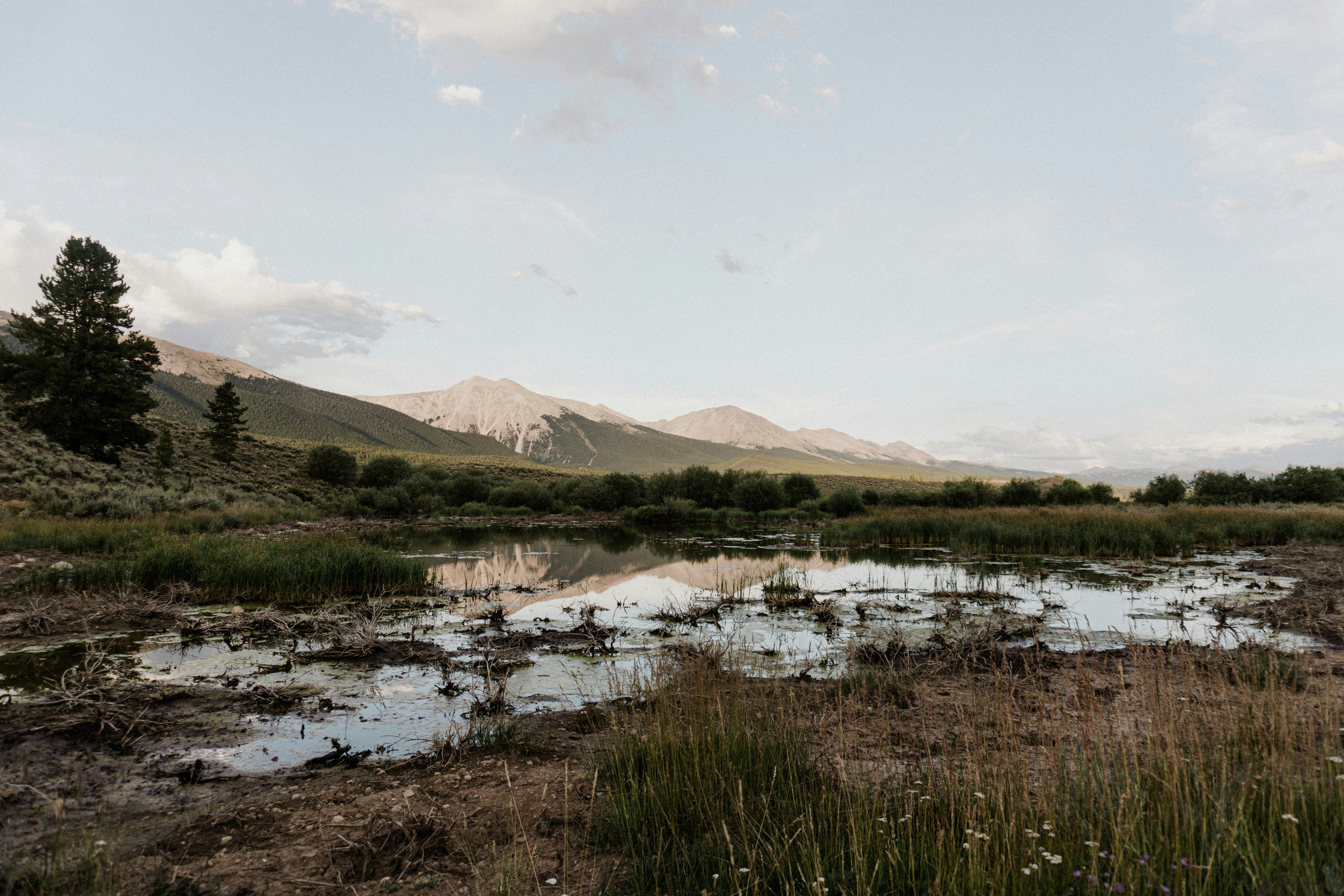 Photo by josh_garner