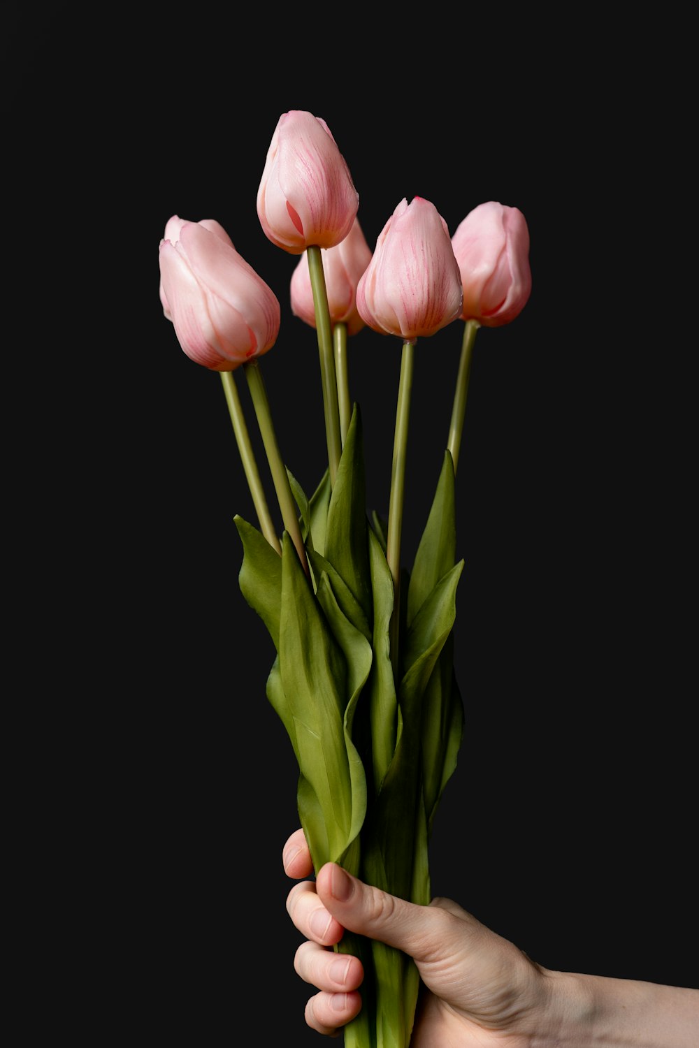 a hand holding a bunch of pink tulips