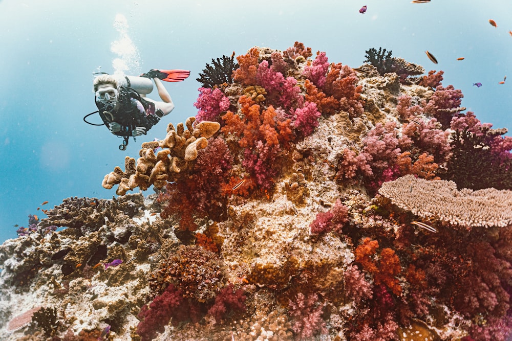 a person scubas over a colorful coral reef