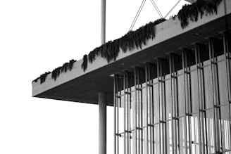 A modern architectural structure with vertical glass panels is partially covered by a flat roof. The roof has minimalistic concrete design with dark vegetation hanging over its edge. Thin metal cables extend upwards from the roof, and the scene is captured in black and white, emphasizing the contrast between the concrete and glass elements.