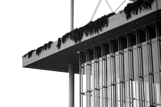 A modern architectural structure with vertical glass panels is partially covered by a flat roof. The roof has minimalistic concrete design with dark vegetation hanging over its edge. Thin metal cables extend upwards from the roof, and the scene is captured in black and white, emphasizing the contrast between the concrete and glass elements.