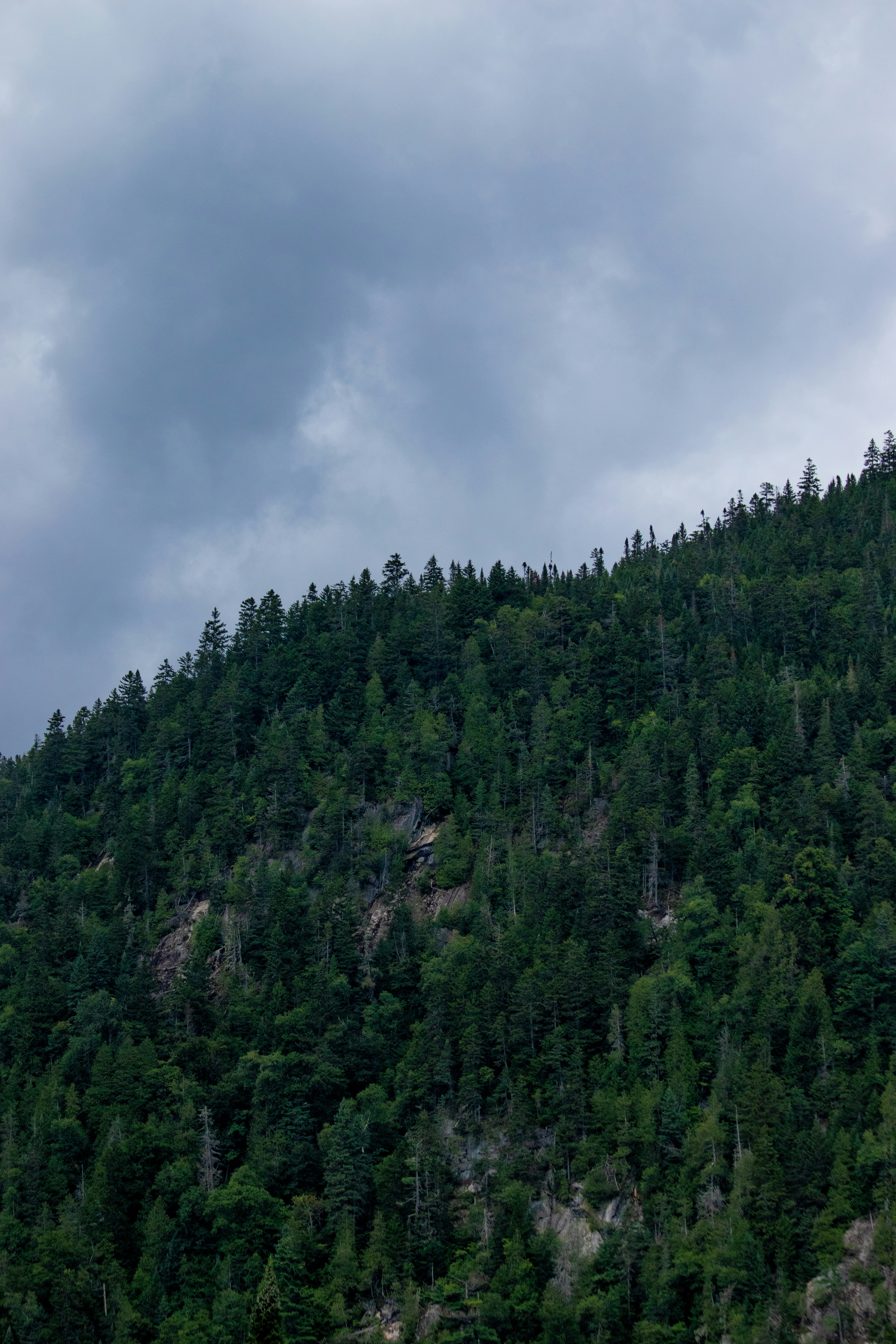 Photo by sinabahar76