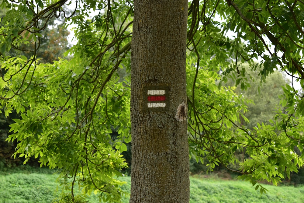 a tree with a red and white marker on it
