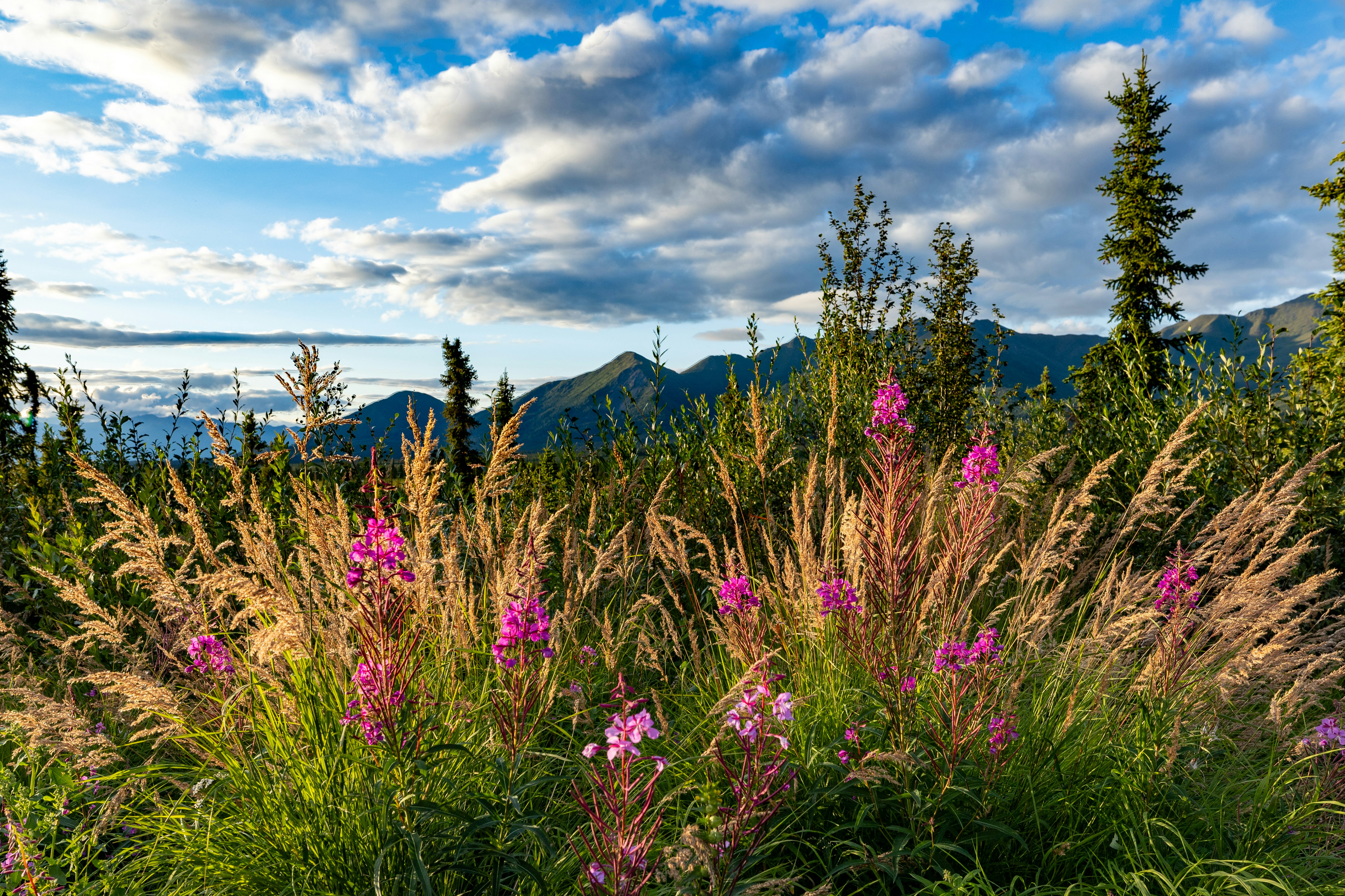 Photo by lancetraveler60