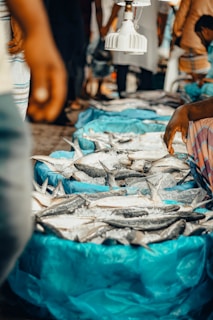 a table with a bunch of fish on it