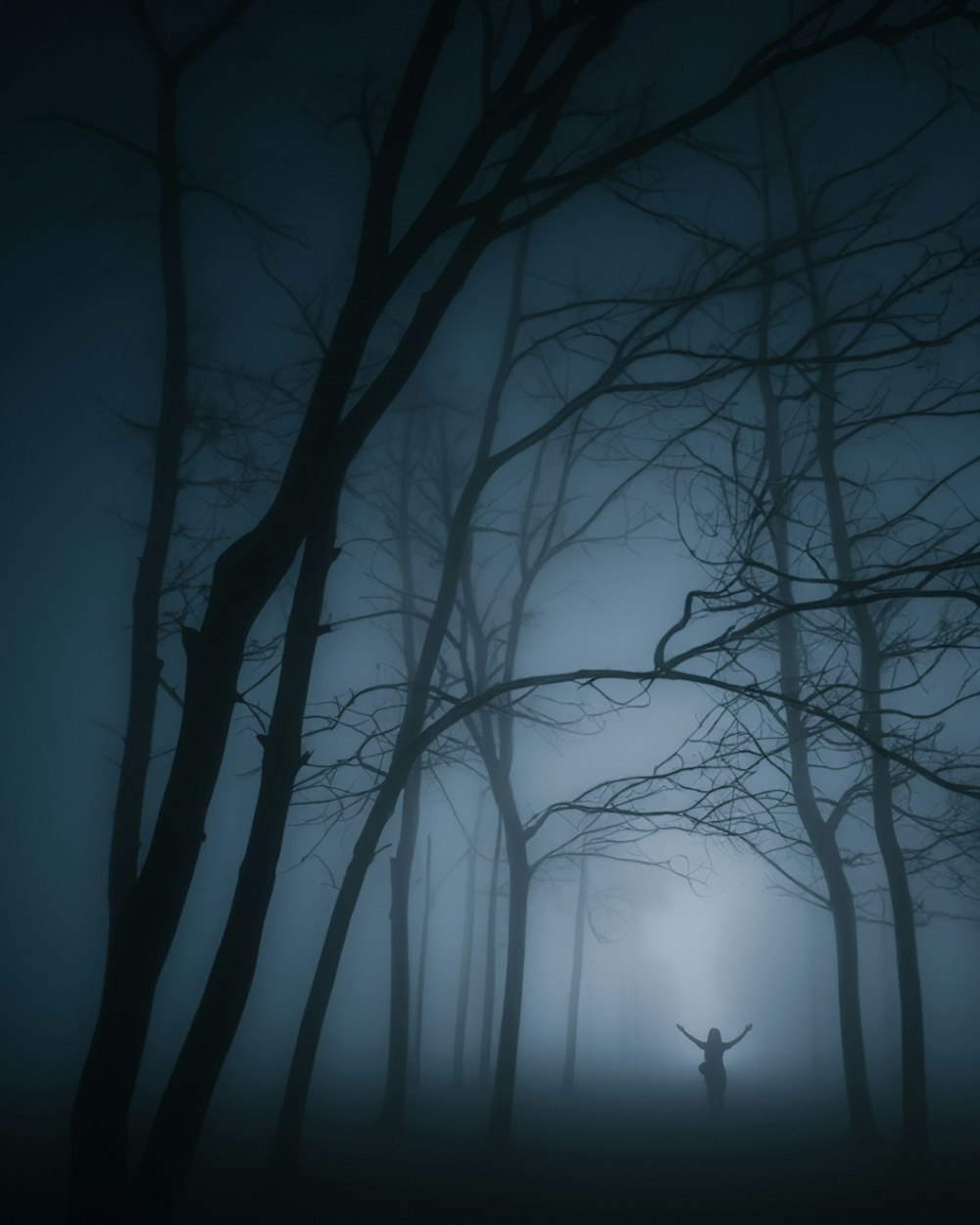 a person standing in the middle of a forest at night
