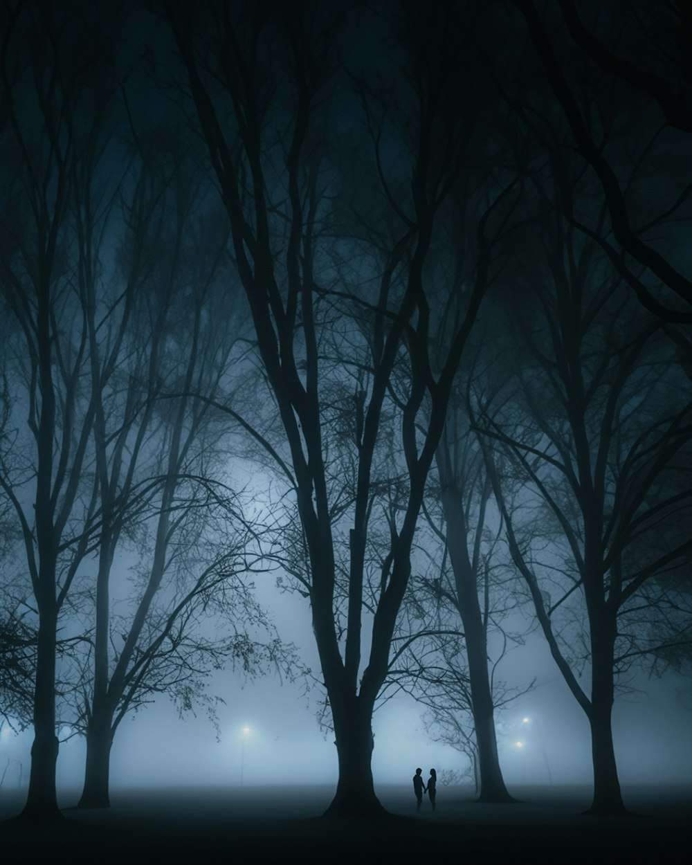 two people are standing in the middle of a foggy forest