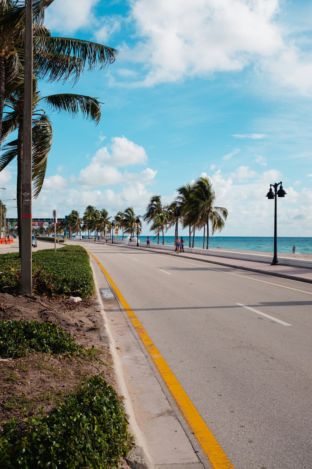 a street lined with palm trees next to the ocean