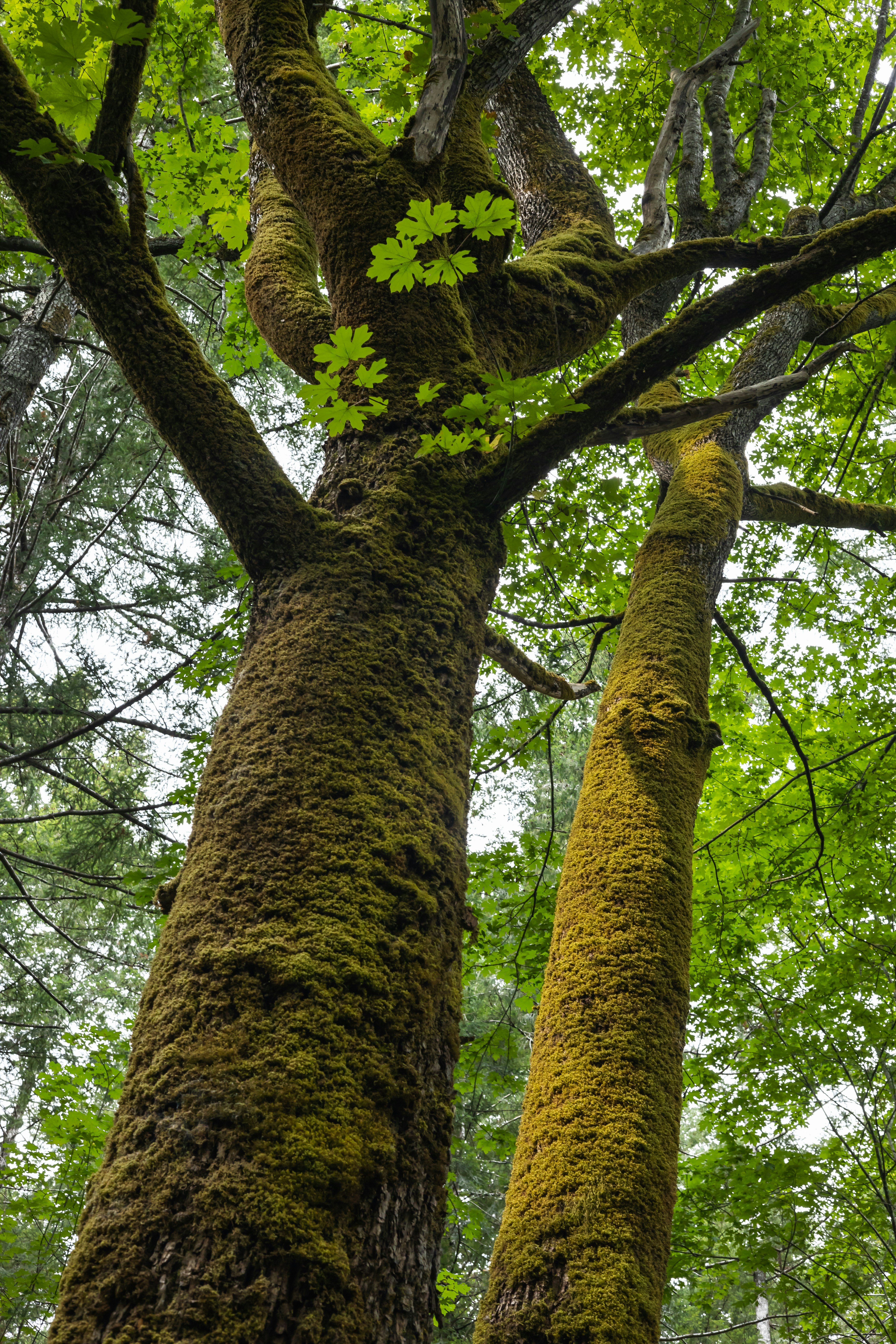 Photo by greg_rosenke