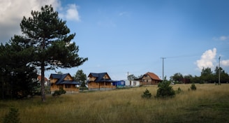 A rural landscape featuring wooden houses with dark rooftops situated in a grassy field. A large tree stands to the left, while utility poles and wires run through the area. The sky is clear with a few clouds.