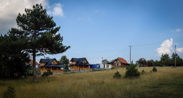 A rural landscape featuring wooden houses with dark rooftops situated in a grassy field. A large tree stands to the left, while utility poles and wires run through the area. The sky is clear with a few clouds.