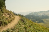 A mountain trail winding through lush green hills.