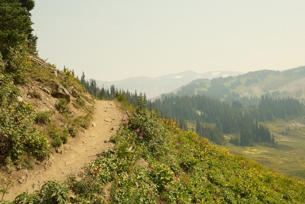 a dirt path on the side of a mountain