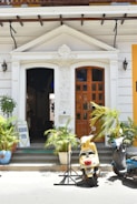 A quaint entrance to a building features a decorative pediment and wooden door, flanked by lush green plants in ceramic pots. A yellow scooter and a blue motorcycle are parked in front, while a sign indicates that bookings are open.