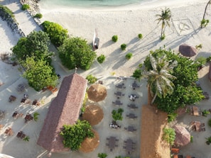 An aerial view of a beachfront area featuring lush green trees, sandy pathways, and organized dining setups with wooden tables and chairs. A thatched-roof structure is centrally located, surrounded by palm trees and green foliage. There are two larger thatched umbrellas providing shade. The beach stretches towards the calm turquoise sea.