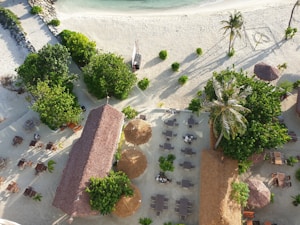 An aerial view of a beachfront area featuring lush green trees, sandy pathways, and organized dining setups with wooden tables and chairs. A thatched-roof structure is centrally located, surrounded by palm trees and green foliage. There are two larger thatched umbrellas providing shade. The beach stretches towards the calm turquoise sea.