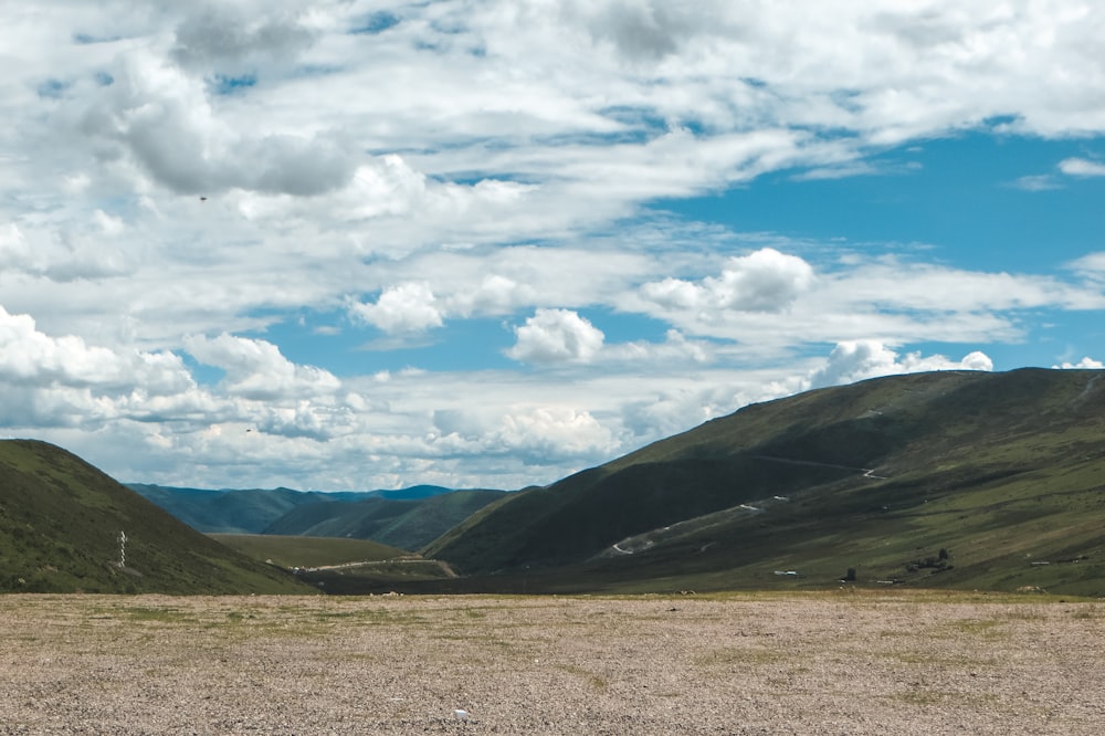 a lone horse standing in the middle of a field