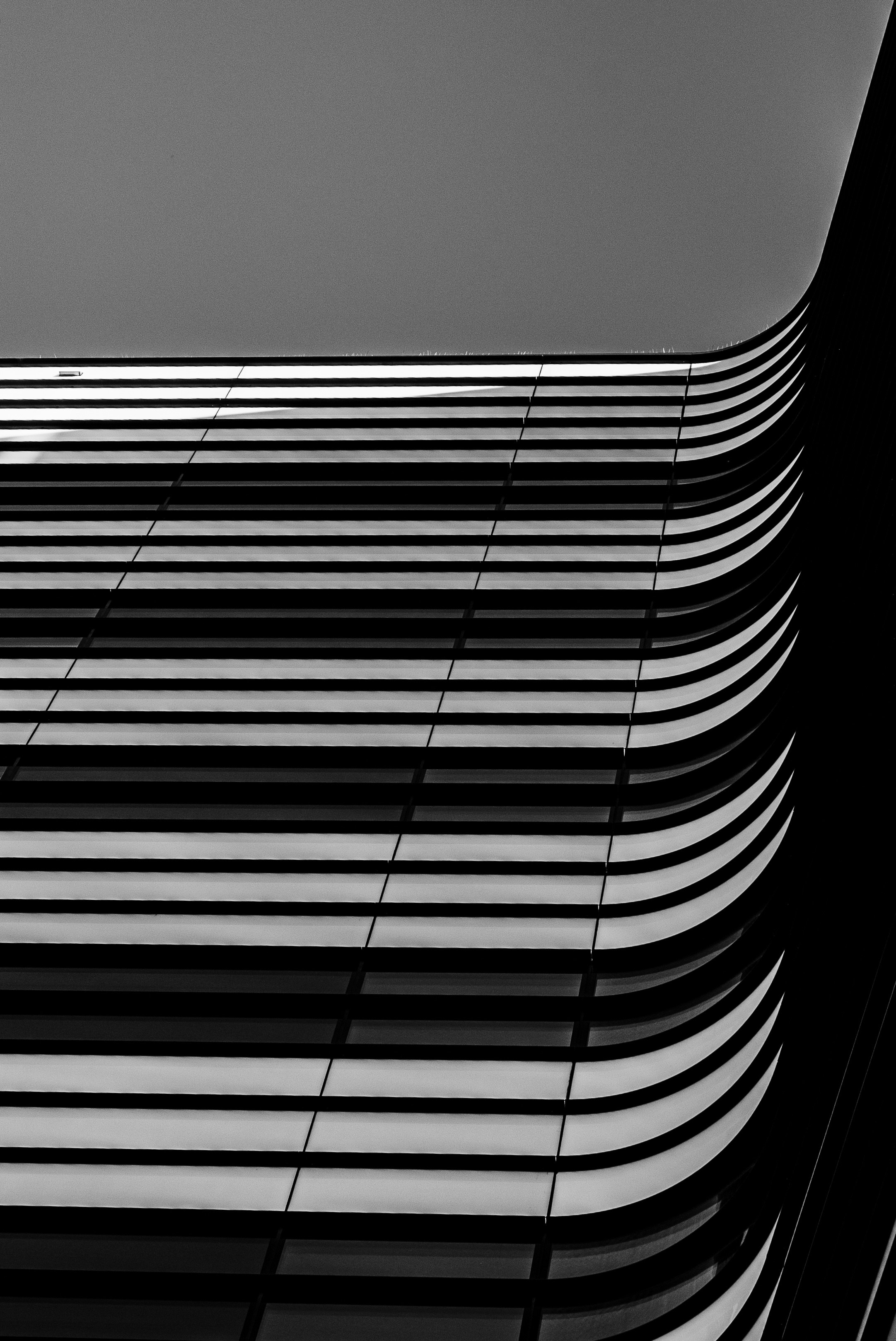 Photo by milyniemily