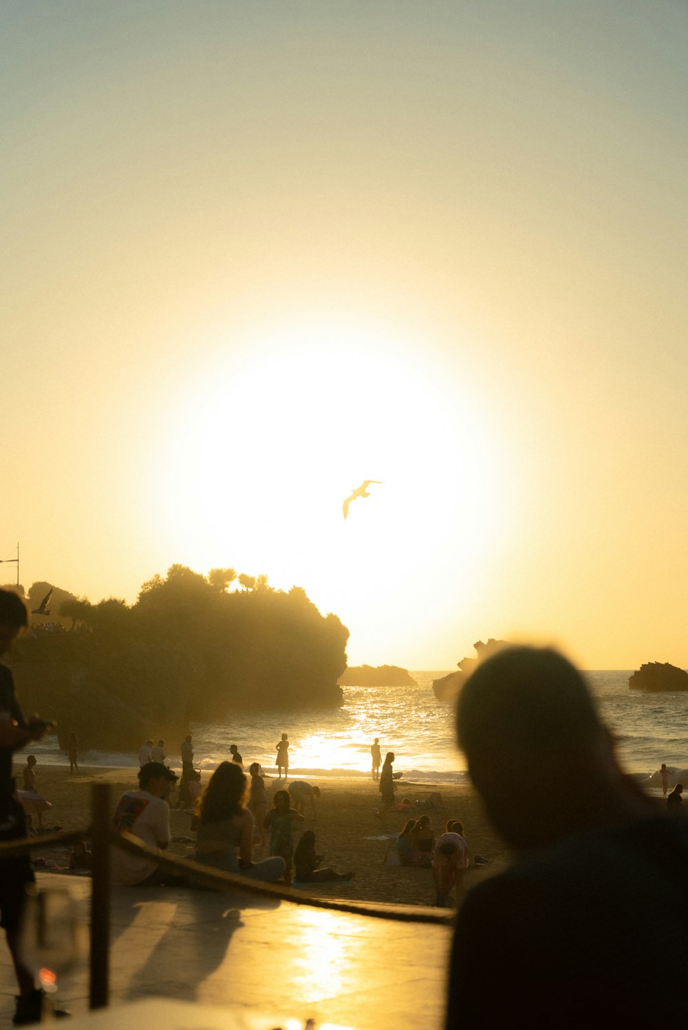 a group of people standing on top of a beach next to the ocean