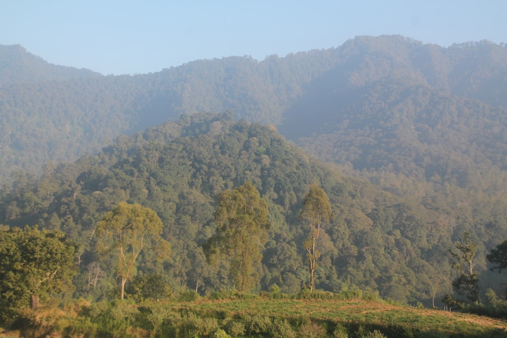 a view of a mountain range with trees in the foreground