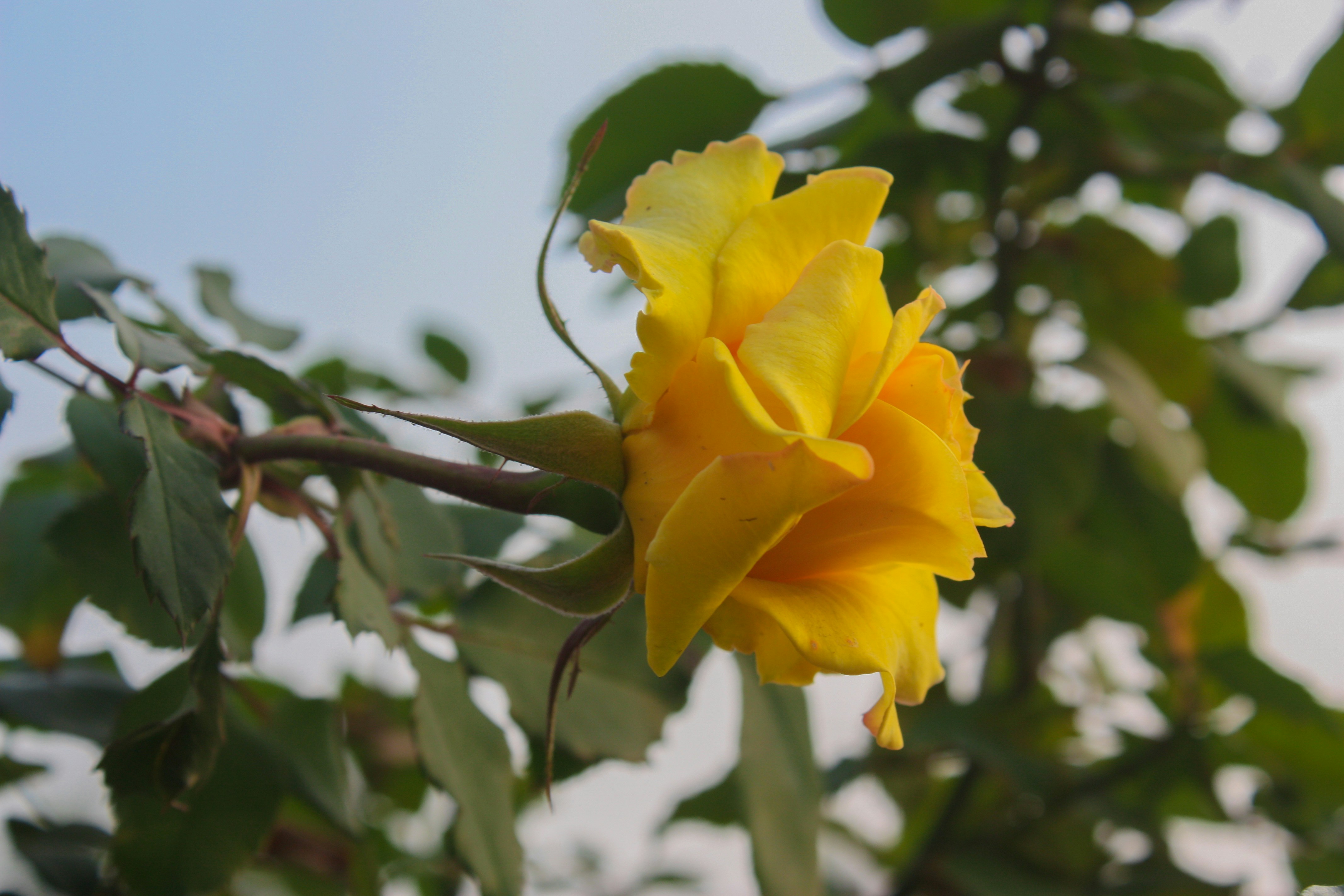 Photo by neelakshi_singh_