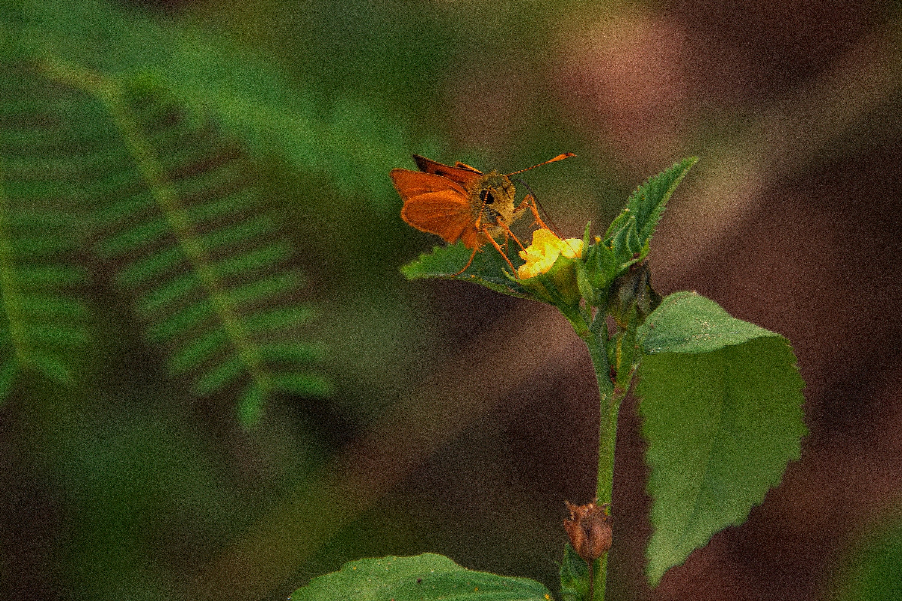 Photo by climatechangevi