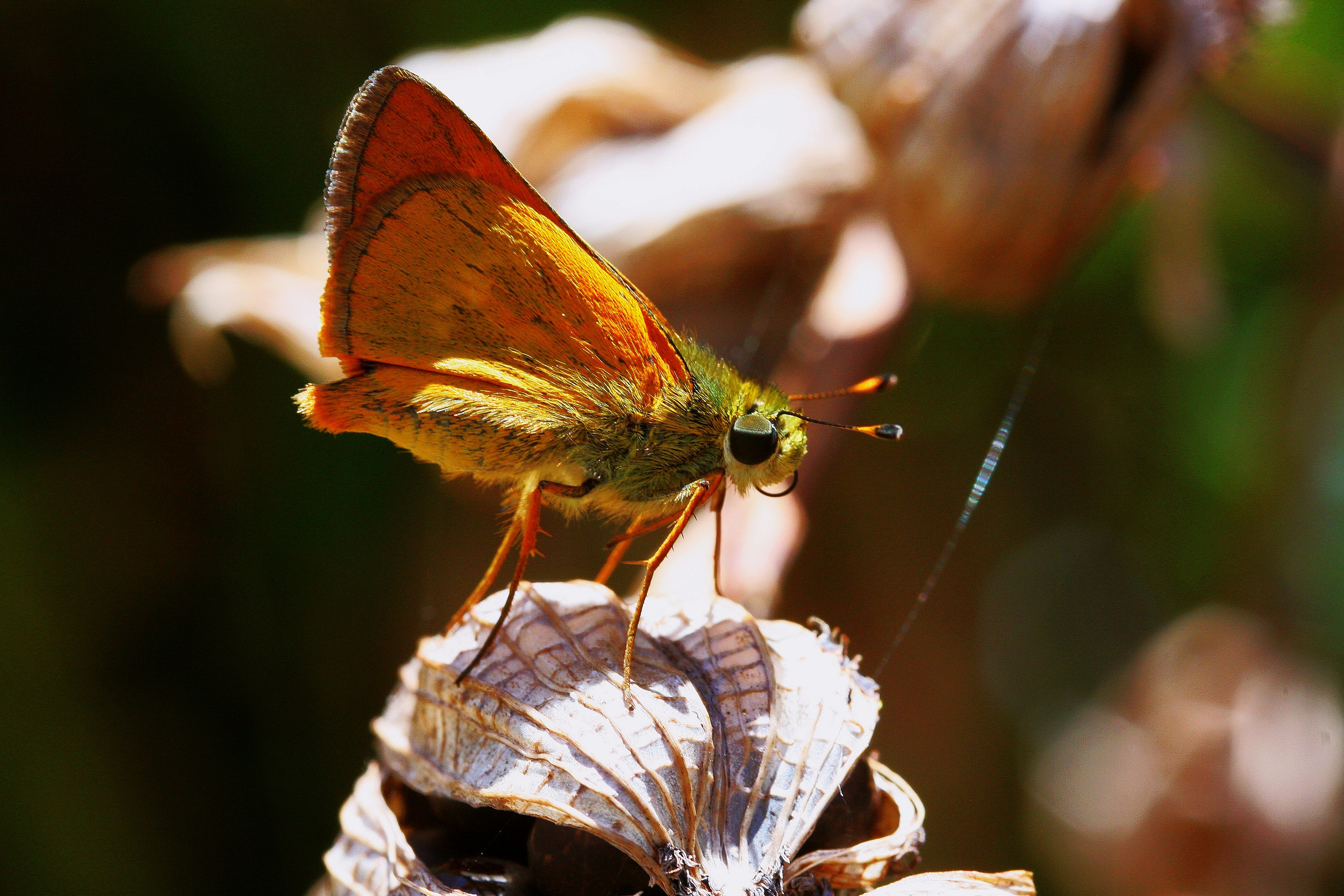 Photo by climatechangevi