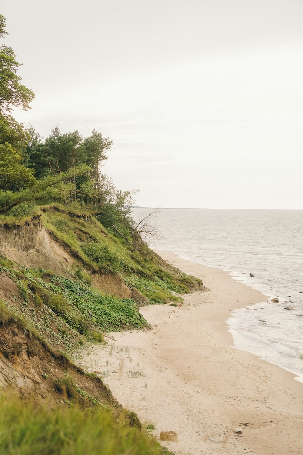 Blick auf einen Sandstrand mit Bäumen an der Seite