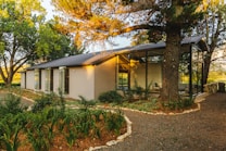 A modern house with large glass windows is surrounded by lush greenery and tall trees, creating a serene and harmonious environment. Sunlight filters through the branches, casting warm, dappled shadows on the walls and ground. The garden features well-maintained plants and a stone pathway leading to the entrance.