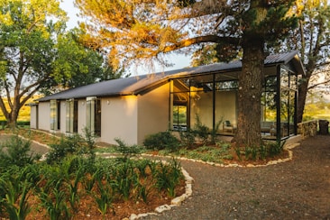 A modern house with large glass windows is surrounded by lush greenery and tall trees, creating a serene and harmonious environment. Sunlight filters through the branches, casting warm, dappled shadows on the walls and ground. The garden features well-maintained plants and a stone pathway leading to the entrance.